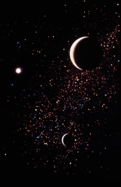 ORG ve Tora Bora, ORG and Tora Bora