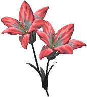 G�zellik i�ten gelir.