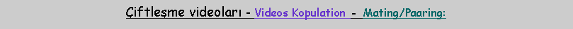 Metin Kutusu: �iftleşme videoları - Videos Kopulation - Mating/Paaring: 
