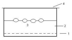 su kaplumbağası retimi
