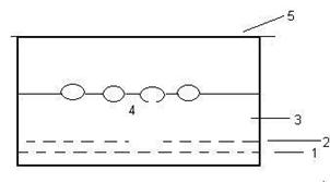 su kaplumbağası kulukası