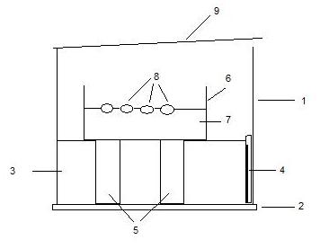 Su kaplumbağası kulukalığı