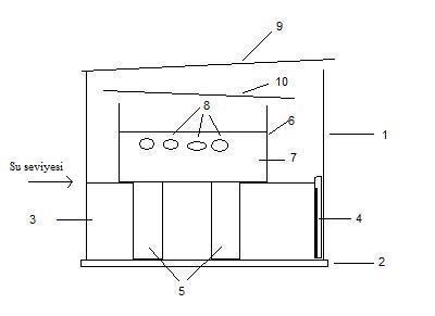 kaplumbağa kulukası